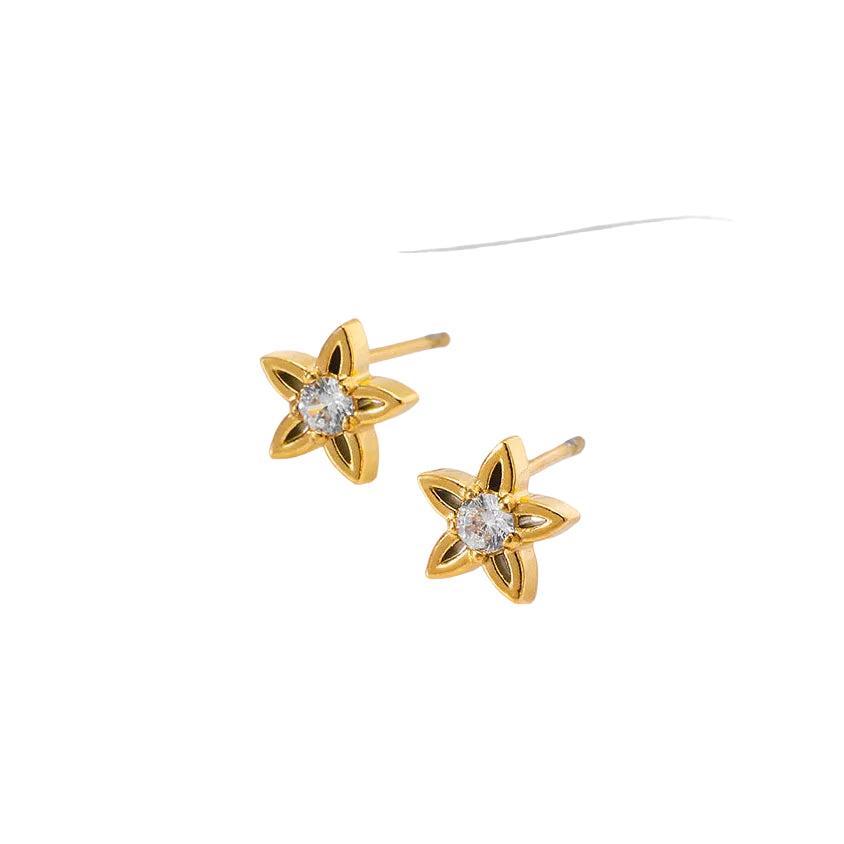 Aretes estrella mini con diamante